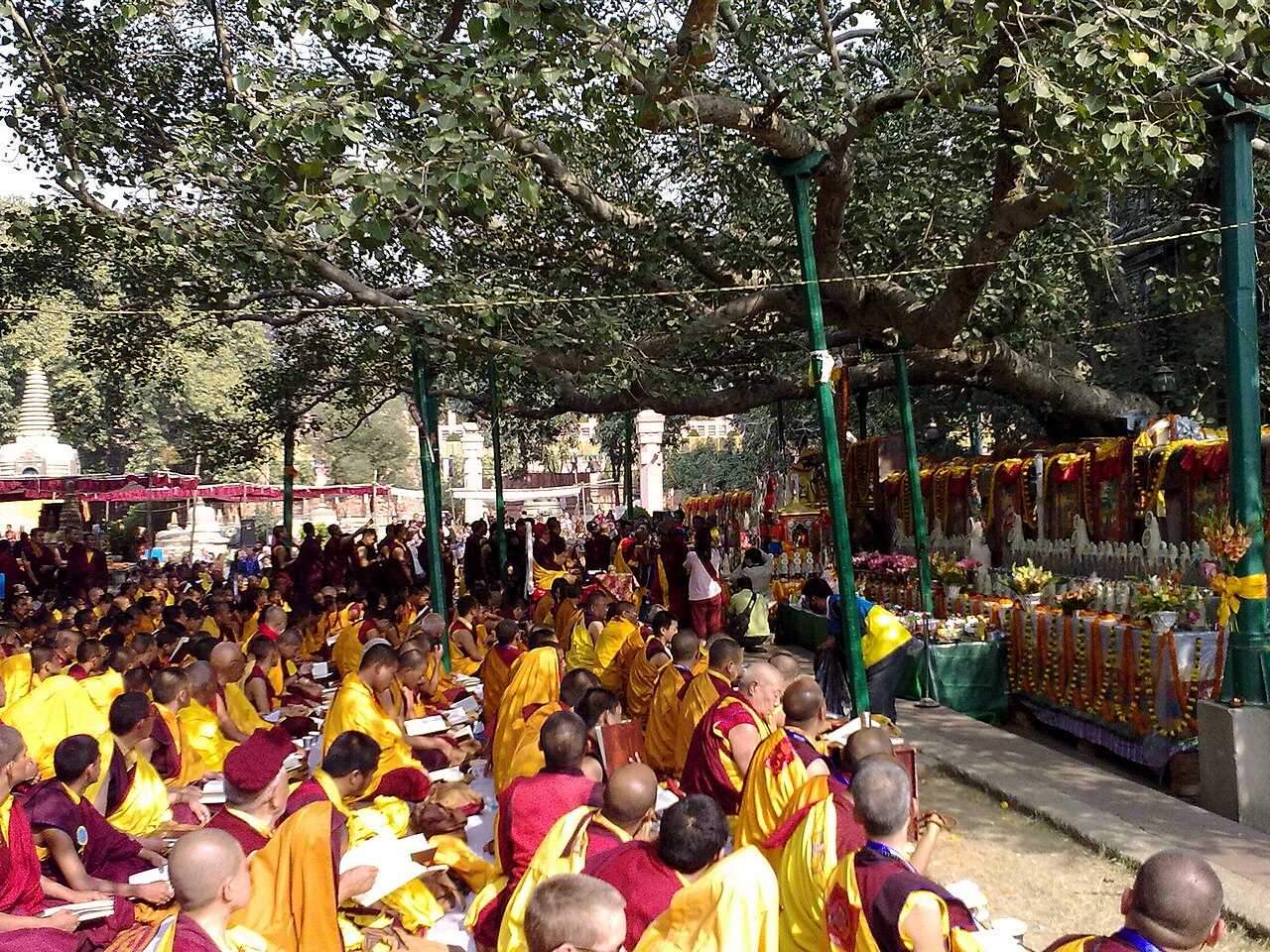 Kagyu